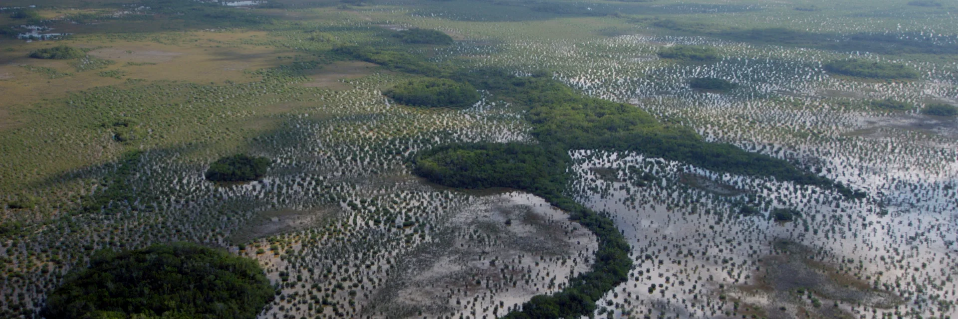 Aerial view of wetlands and the transition toward Florida Bay in Everglades National Park.