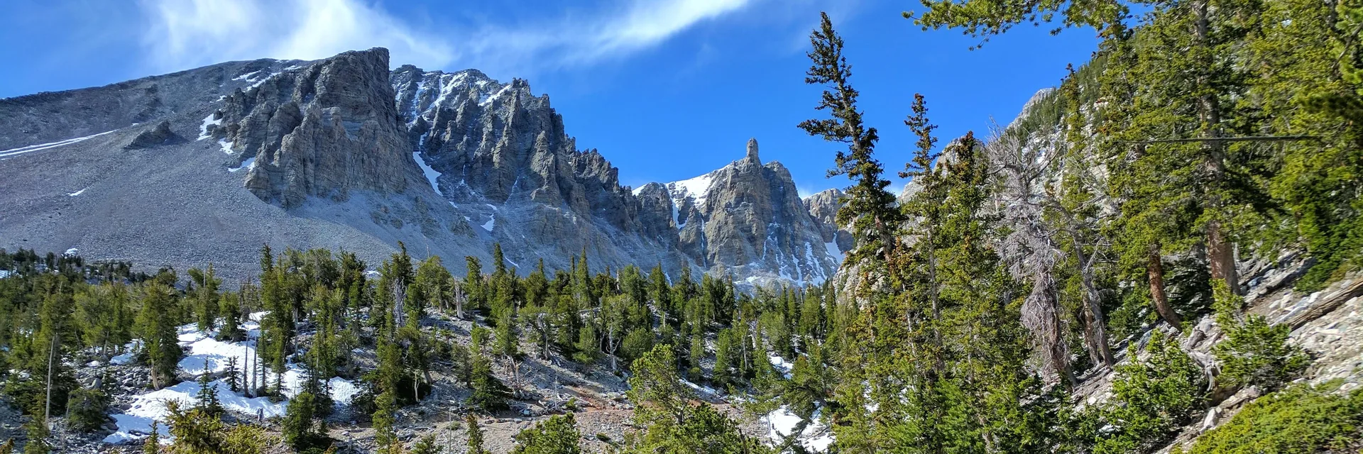 Pine-covered slopes beneath a rocky mountain cirque in Great Basin National Park.