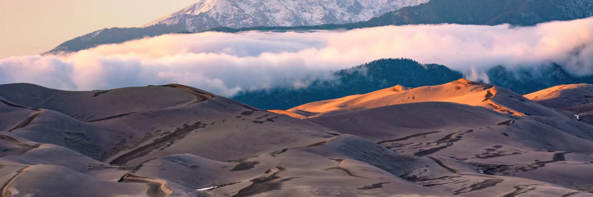 Sand dunes, autumn cottonwoods, and snow-dusted mountains in Great Sand Dunes National Park and Preserve.
