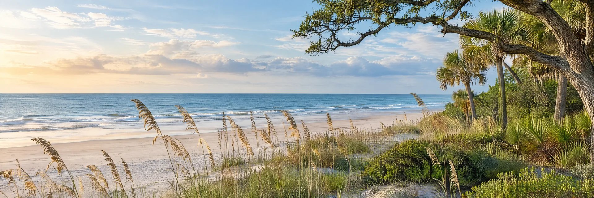Illustration inspired by Hilton Head Island, SC: south Carolina Atlantic barrier island beach, sea oats, palms and maritime live oaks.