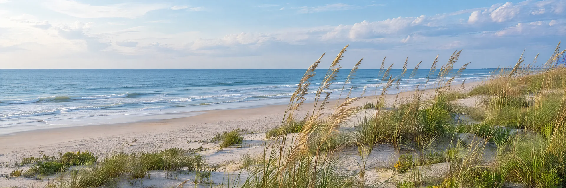 Illustration inspired by Holden Beach, NC: north Carolina sandy Atlantic barrier island shoreline, sea oats and low dunes.