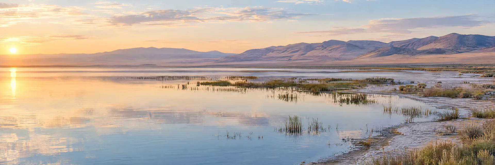 AI-generated illustration inspired by Honey Lake: shallow Great Basin lake and wetland, muted reflective water, broad pale shoreline, distant dry hills.
