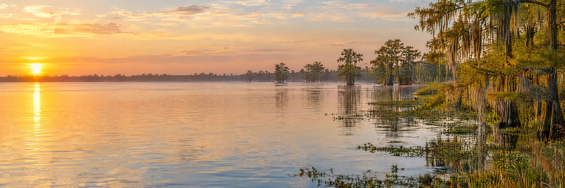 AI-generated illustration inspired by Lac des Allemands: Louisiana lowland lake, flat horizon, cypress fringe and warm wetland vegetation.