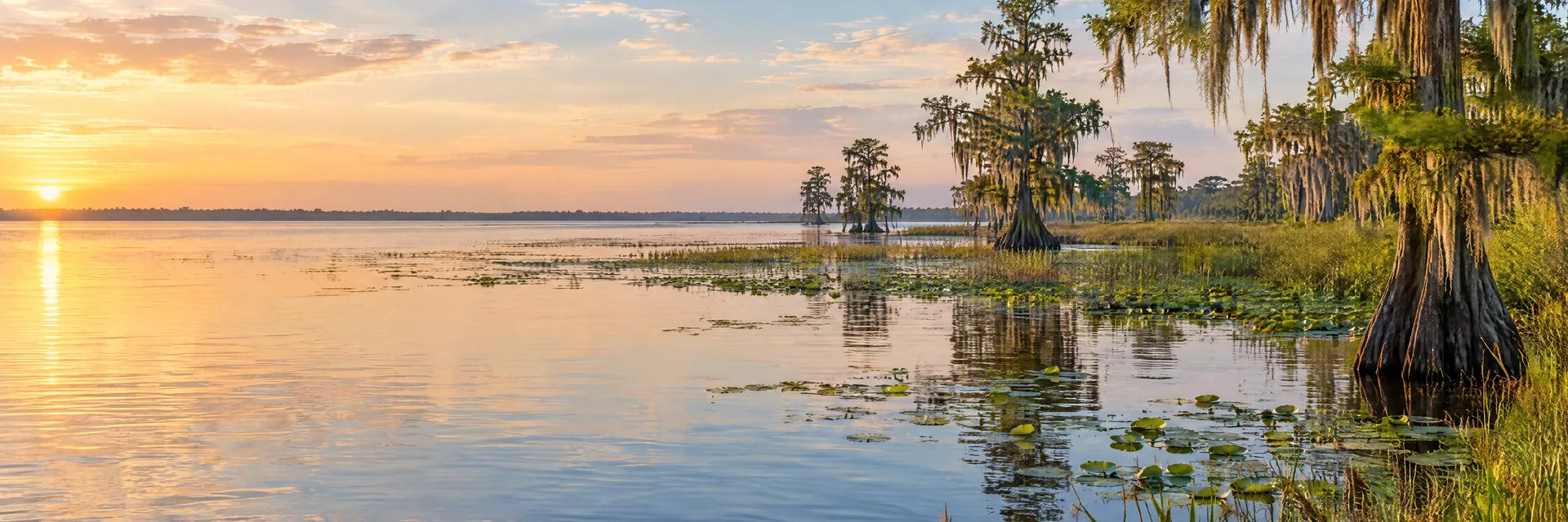 AI-generated illustration inspired by Lake Apopka: Florida broad shallow lake with flat marsh-lined horizon and cypress trees.