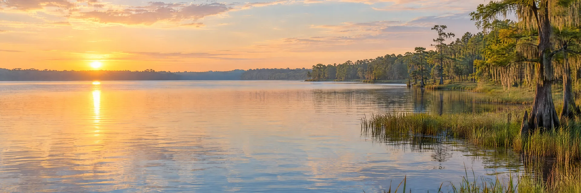 AI-generated illustration inspired by Lake Conroe: southern lowland lake, flat or gently rolling wooded shoreline, cypress and marsh grasses.