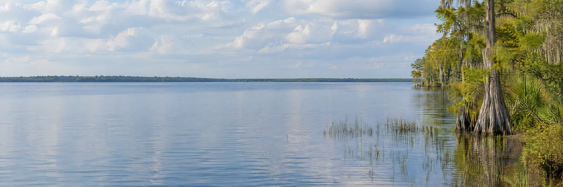AI-generated illustration inspired by Lake George, Florida, with broad water and a flat cypress-lined shore.