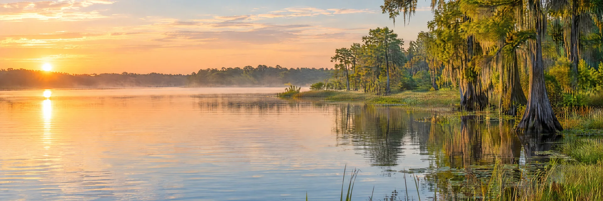AI-generated illustration inspired by Lake Harris: southern lowland lake, flat or gently rolling wooded shoreline, cypress and marsh grasses.