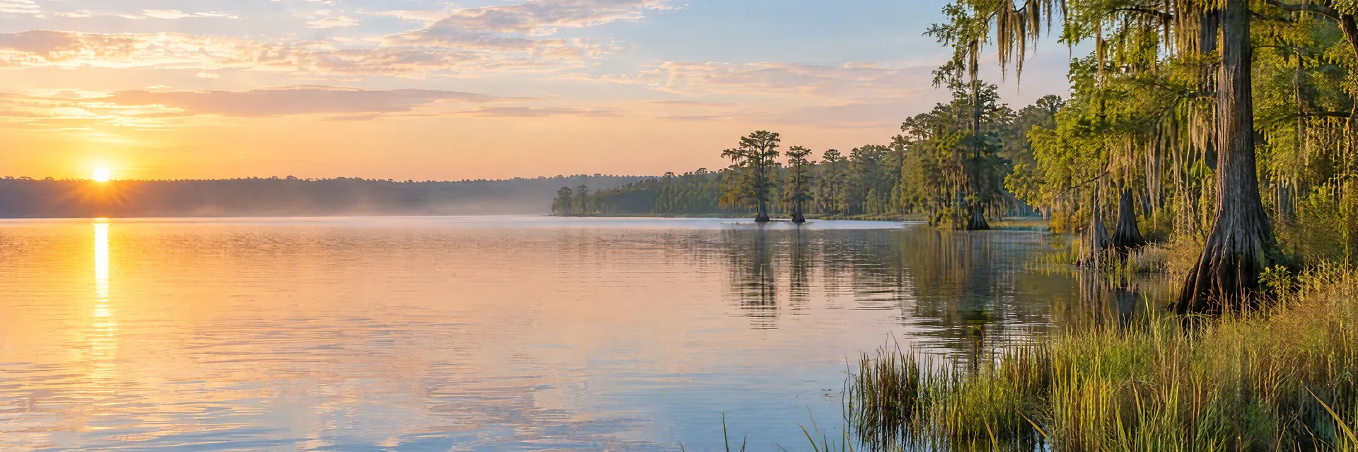 AI-generated illustration inspired by Lake Houston: southern lowland lake, flat or gently rolling wooded shoreline, cypress and marsh grasses.