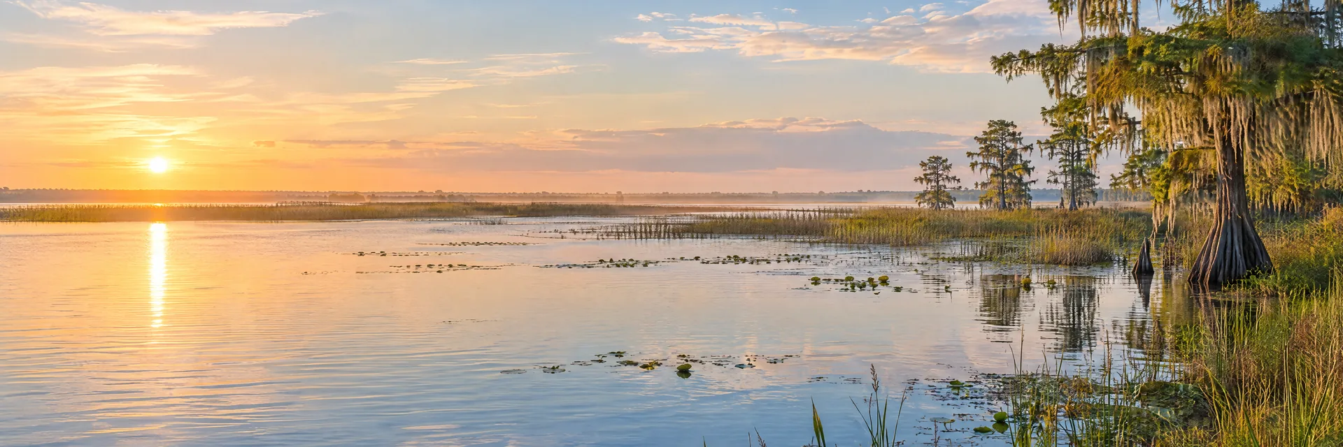 AI-generated illustration inspired by Lake Istokpoga: Florida broad shallow lake with flat marsh horizon, reeds and cypress.