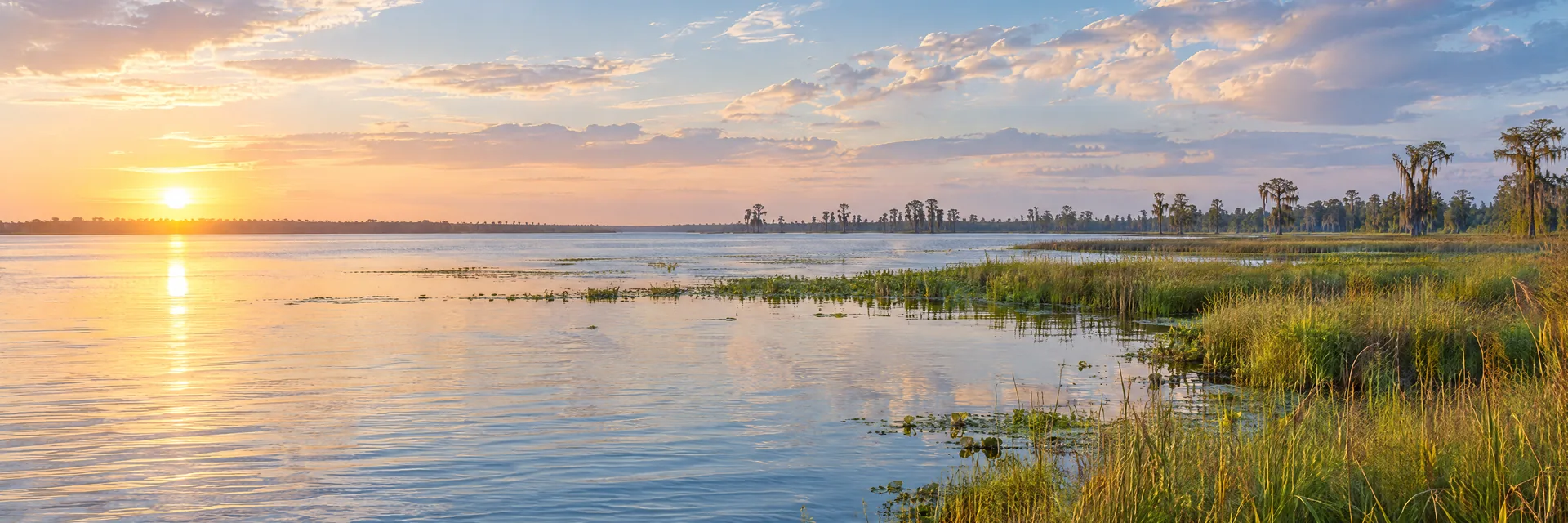 AI-generated illustration inspired by Lake Kissimmee: Florida lake with marsh grasses, flat distant cypress fringe and broad sky.