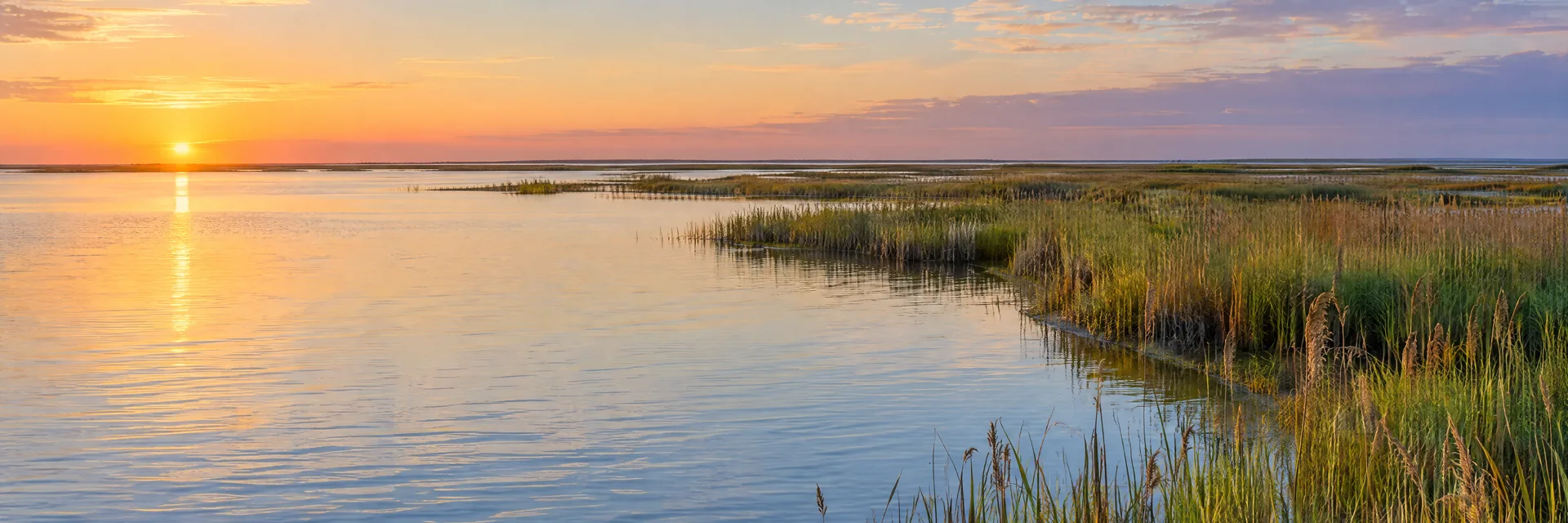 AI-generated illustration inspired by Lake Mattamuskeet: very shallow coastal North Carolina lake, vast flat marsh horizon, reeds, no mountains.