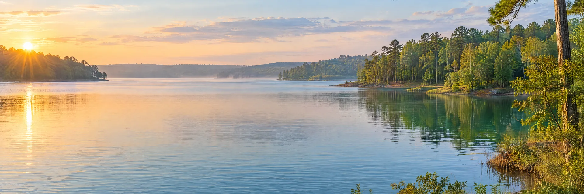 AI-generated illustration inspired by Lake Moultrie: freshwater reservoir with gently rolling mixed hardwood and pine woodland, irregular coves, blue-green water.