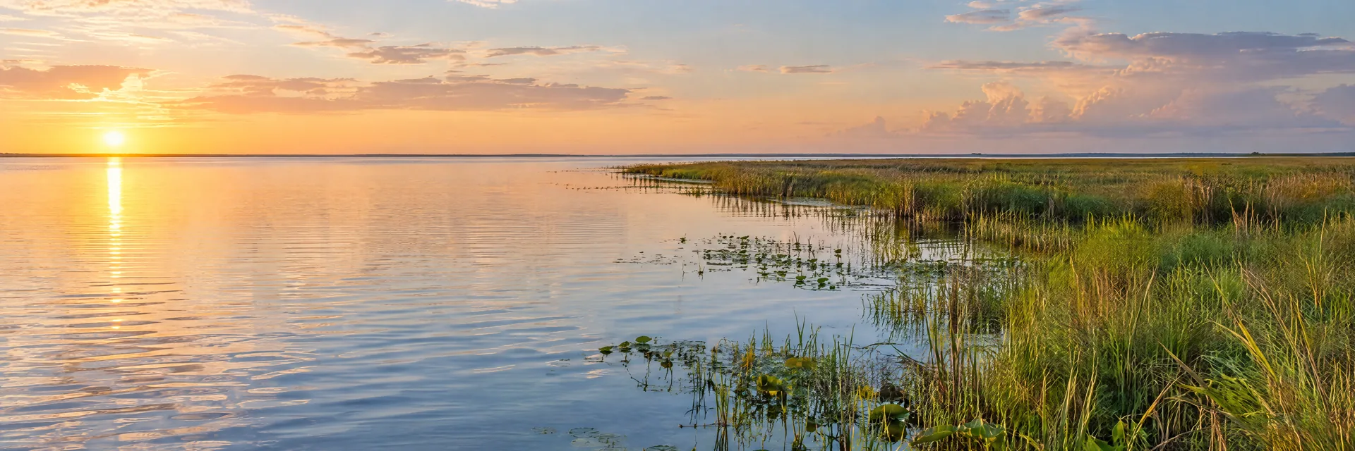 AI-generated illustration inspired by Lake Okeechobee: Florida immense shallow freshwater lake, sawgrass marsh edge, very flat horizon.