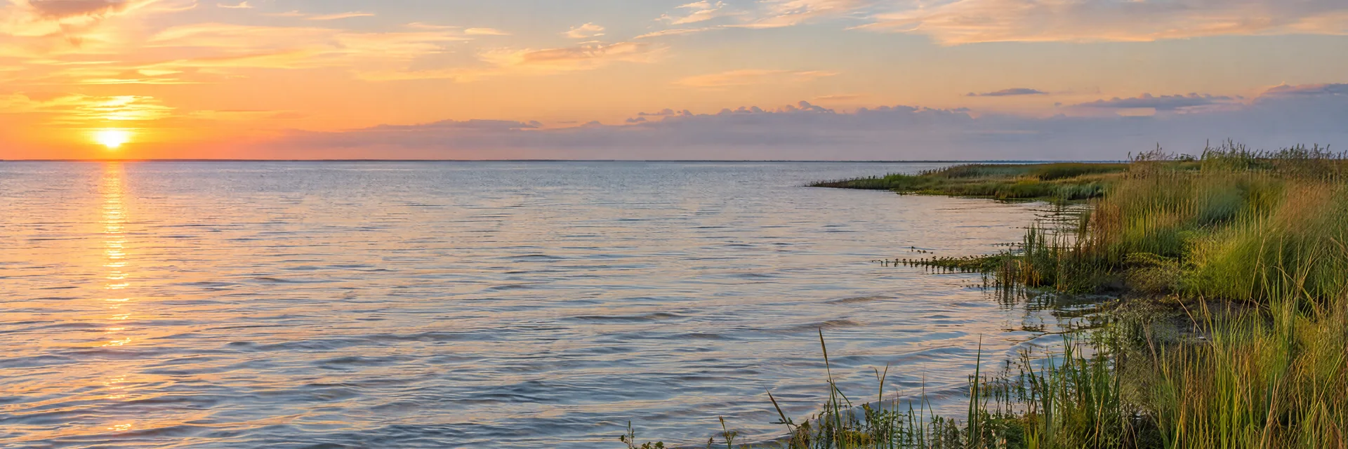 AI-generated illustration inspired by Lake Pontchartrain: Louisiana broad brackish lake, flat horizon, wetland shore and small ripples.