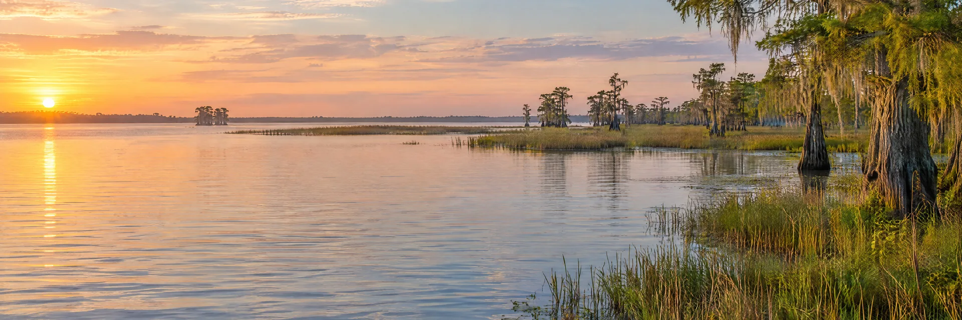 AI-generated illustration inspired by Lake Salvador: Louisiana shallow coastal lake, flat marsh and cypress fringe.