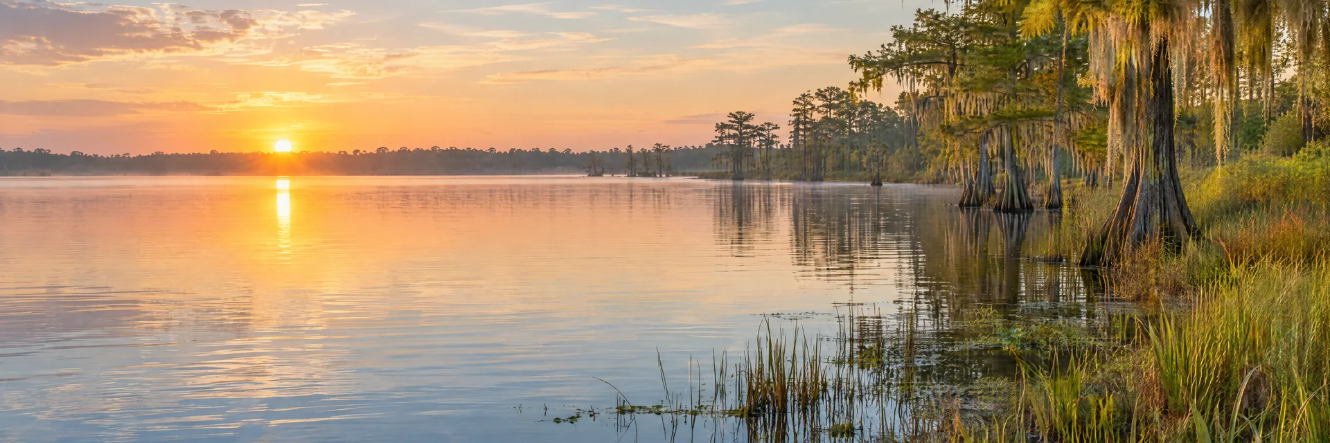 AI-generated illustration inspired by Lake Seminole: southern lowland lake, flat or gently rolling wooded shoreline, cypress and marsh grasses.
