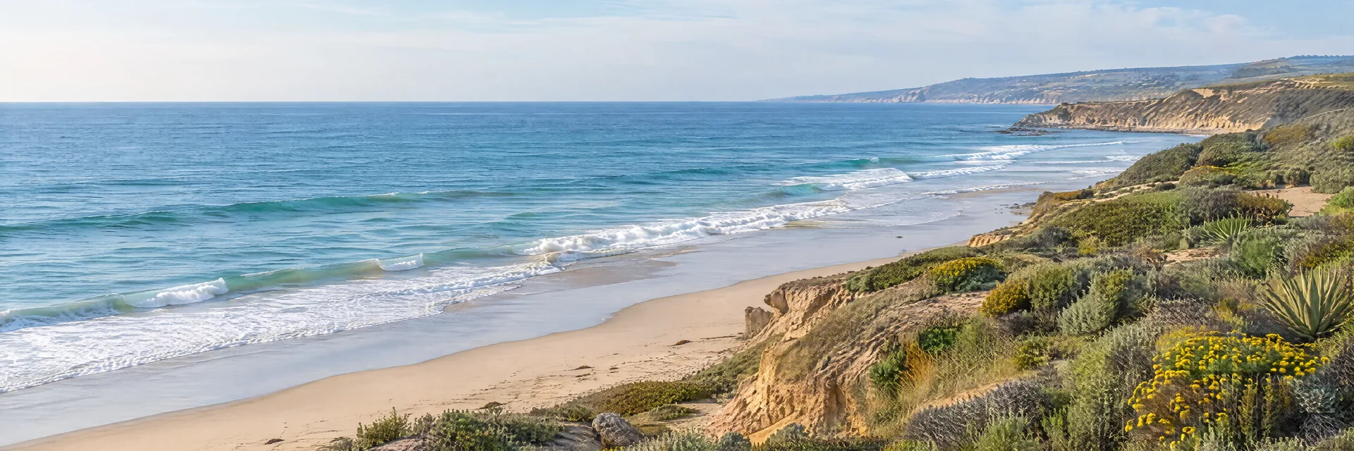 Illustration inspired by Newport Beach, CA: southern California sandy Pacific shore, low coastal bluffs and sage scrub.