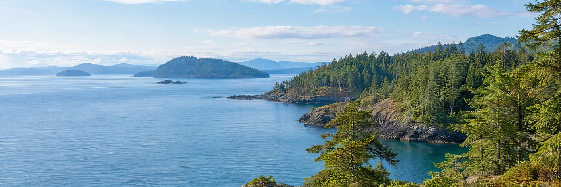 Illustration inspired by Orcas Island, WA: pacific Northwest island rocky shore, evergreen forest, blue sheltered water and distant wooded islands.