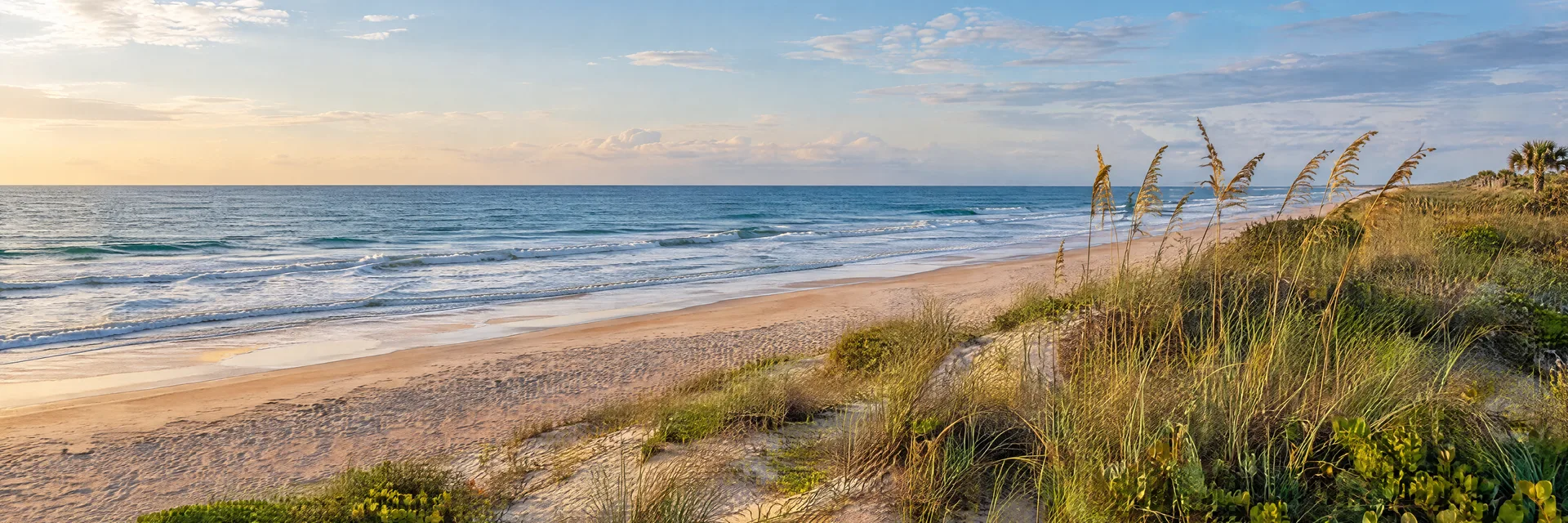 Illustration inspired by Palm Coast, FL: northeast Florida Atlantic shore with warm coquina sand, low dunes and maritime vegetation.