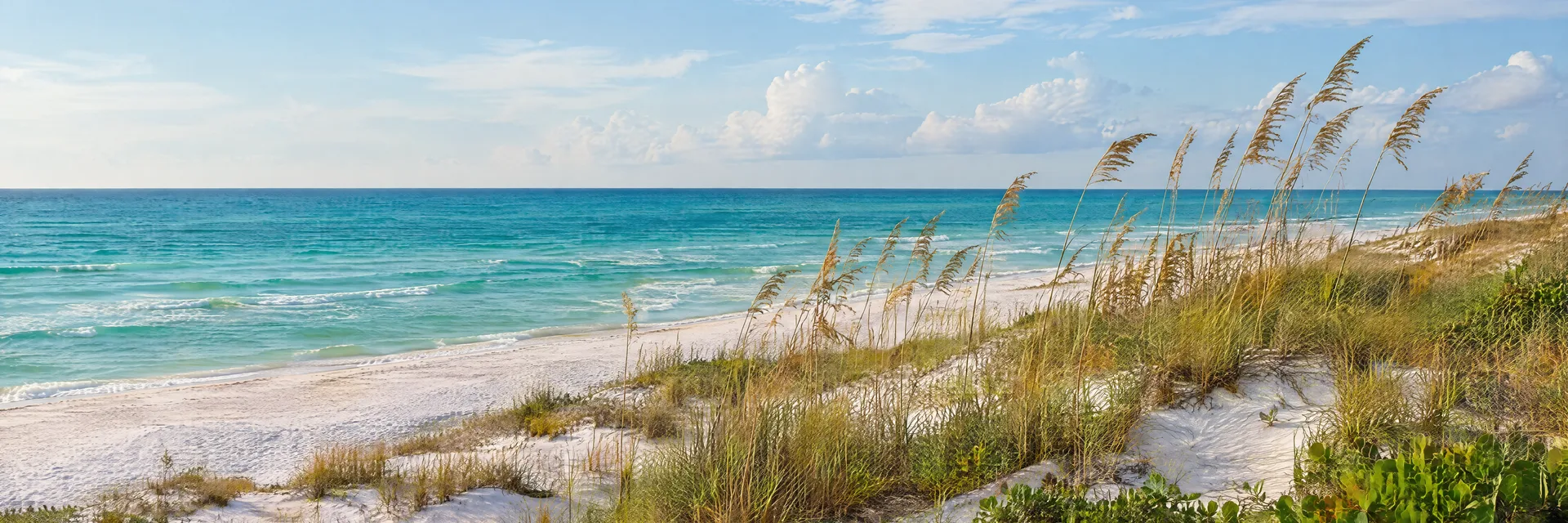 Illustration inspired by Perdido Key, FL: florida Gulf barrier island, pale sand dunes, sea oats and emerald sea.