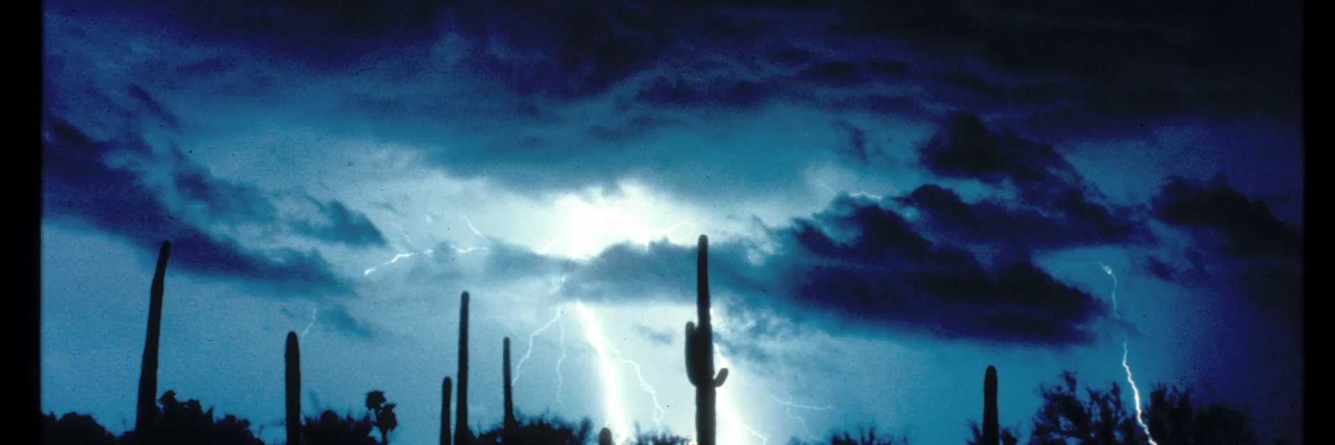 Saguaro silhouettes beneath a lightning-lit storm sky in Saguaro National Park.