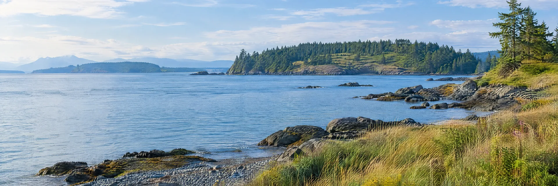 Illustration inspired by San Juan Island, WA: pacific Northwest island pebble shore, coastal grassland, evergreen trees and blue water.