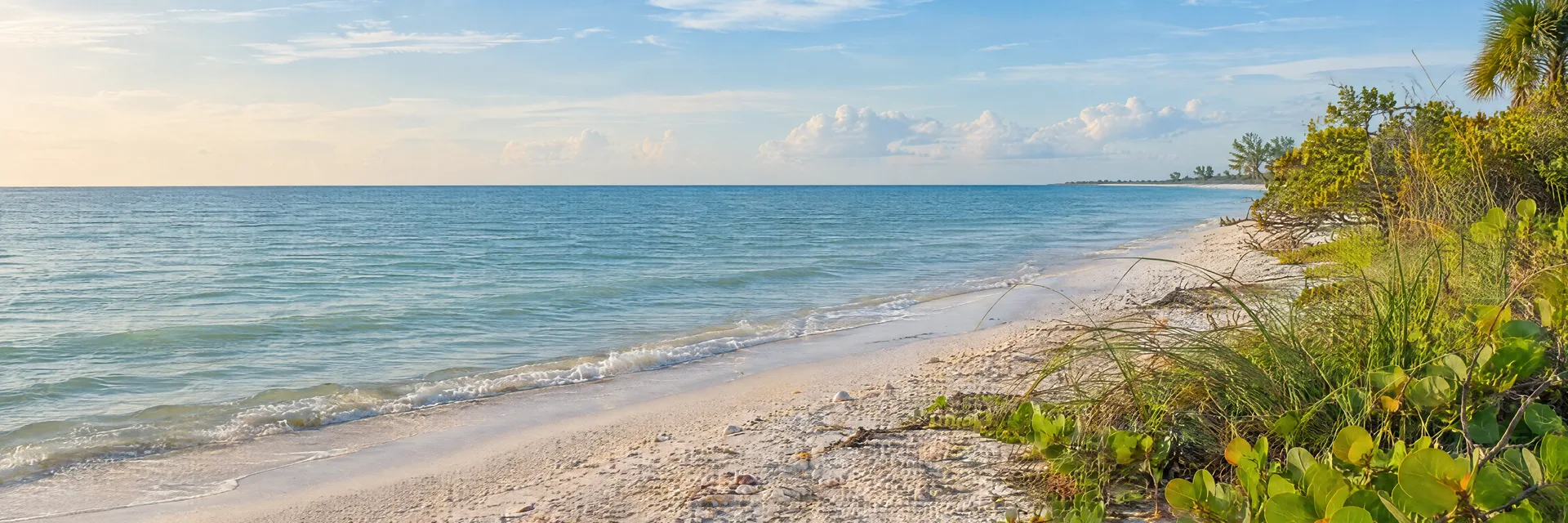 Illustration inspired by Sanibel Island, FL: southwest Florida barrier island pale shell-strewn beach, native coastal vegetation and calm Gulf water.