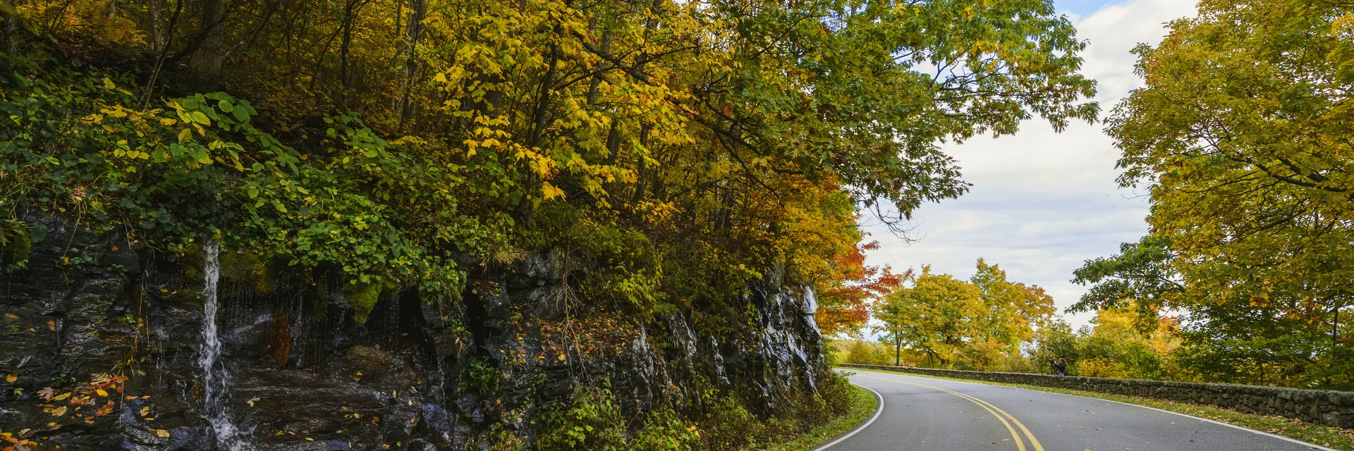 A curving road between colorful autumn trees and rock walls in Shenandoah National Park.