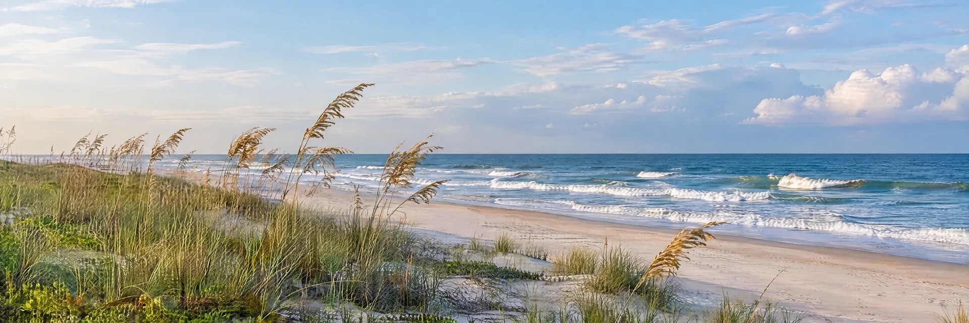 Illustration inspired by Topsail Beach, NC: north Carolina barrier island beach, low dunes and sea oats beside Atlantic surf.