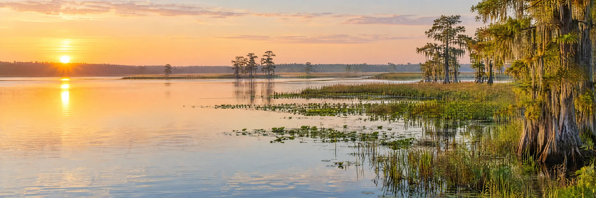 AI-generated illustration inspired by Tsala Apopka Lake: Florida interconnected shallow lakes and freshwater marshes, cypress, grasses and flat horizon.