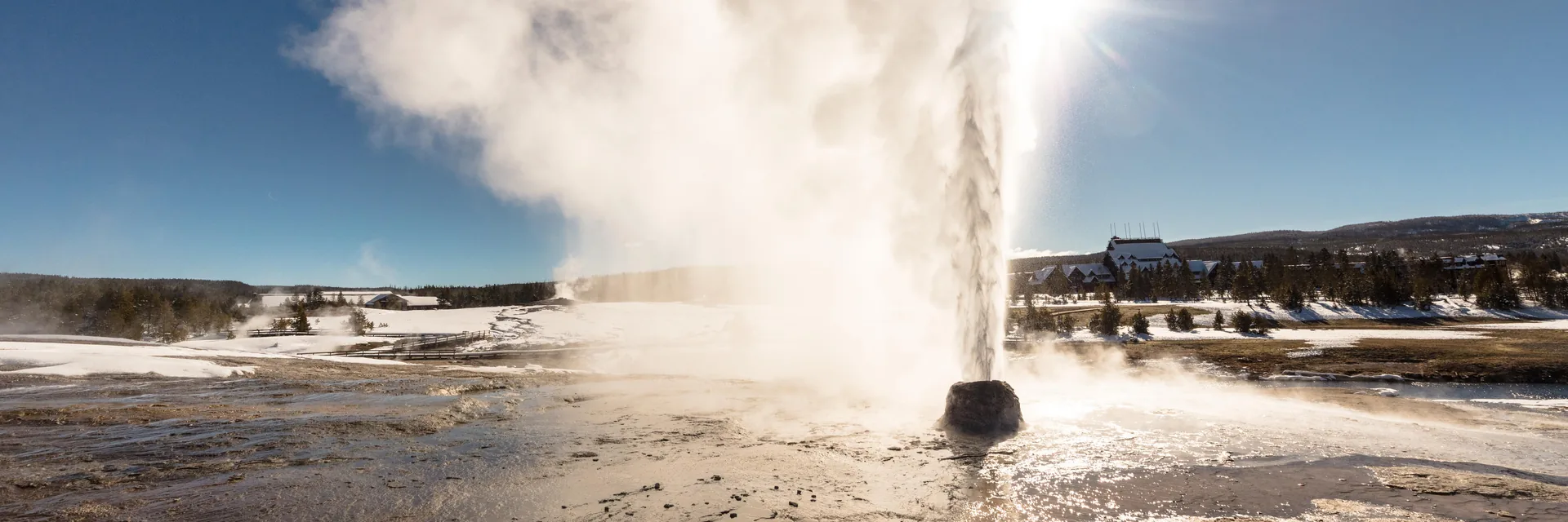 A geyser sending a column of steam into the sky in Yellowstone National Park.