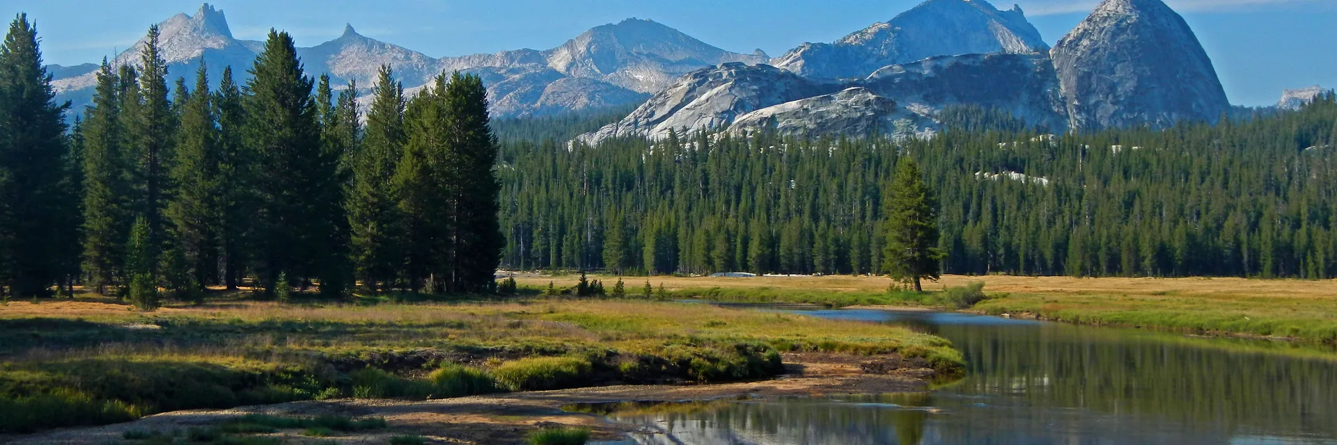 Sierra peaks and trees reflected in a lake in Yosemite National Park.