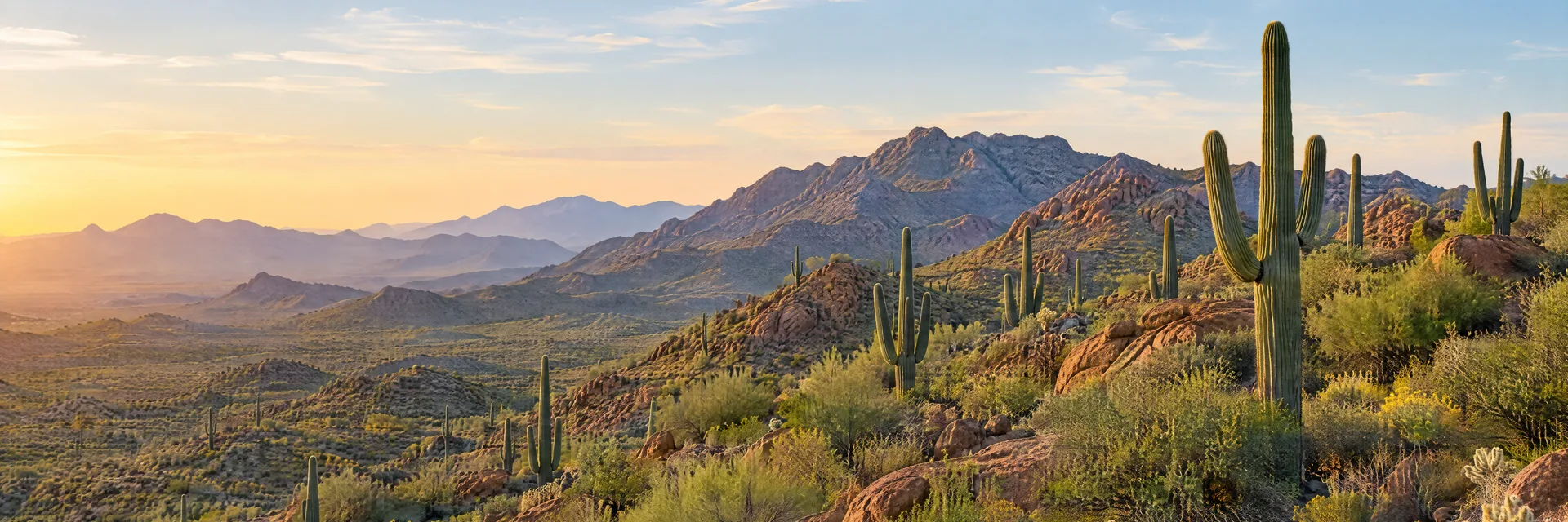 Illustration of representative natural scenery in Arizona: sonoran Desert foothills, saguaro cacti, red-brown rocky slopes and warm open sky.