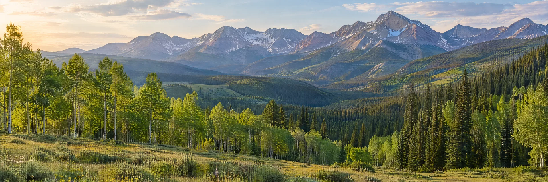 Illustration of representative natural scenery in Colorado: alpine foothill meadow, aspens, evergreen forest and distant rugged mountains.