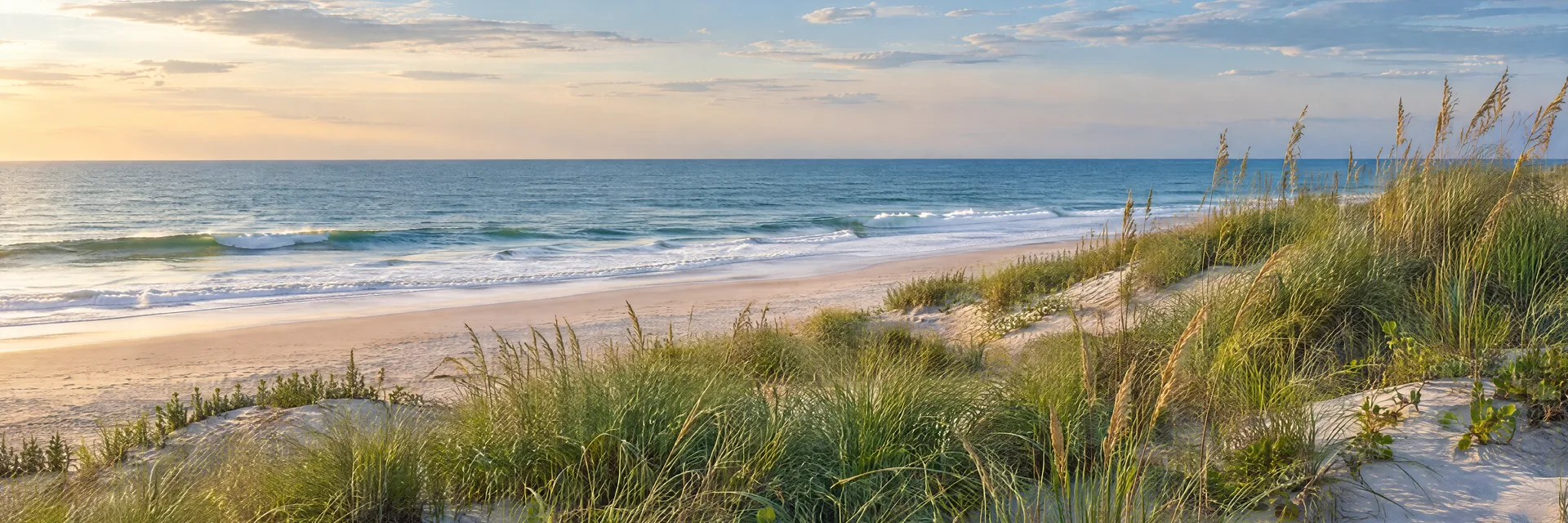 Illustration of representative natural scenery in Delaware: atlantic coastal dunes, beach grass, sandy shoreline and gentle surf.