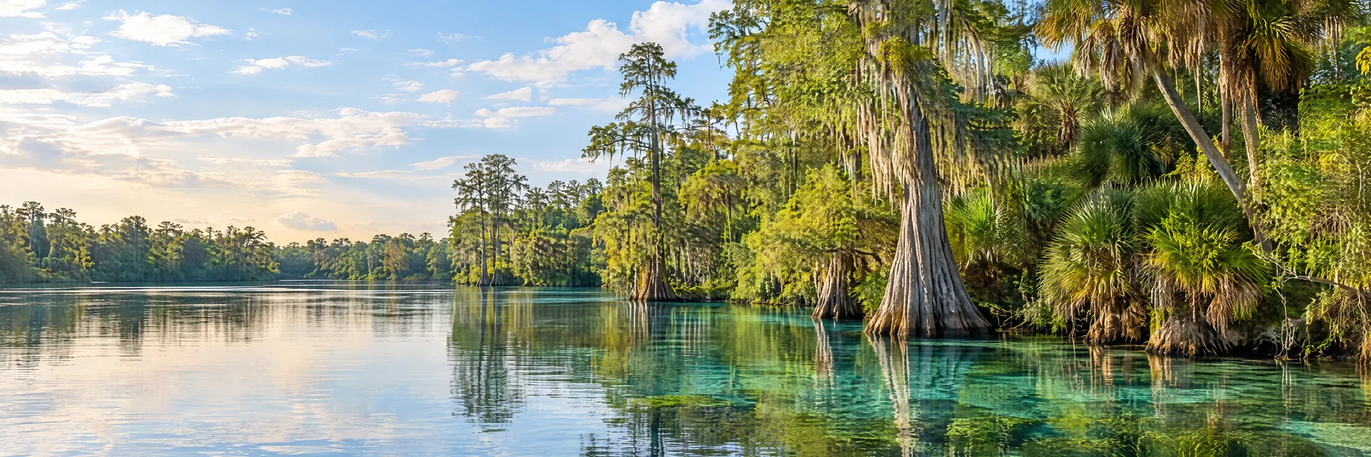 Illustration of representative natural scenery in Florida: clear spring-fed river, cypress trees, palms and lush subtropical woodland.