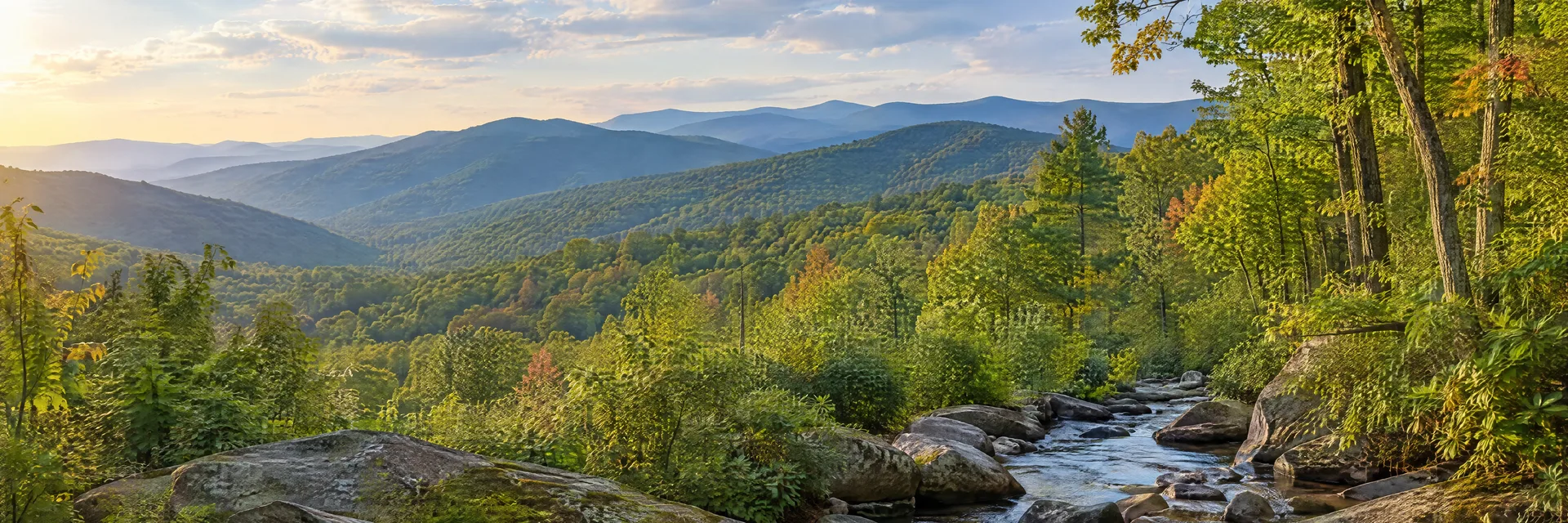 Illustration of representative natural scenery in Georgia: southern Appalachian wooded foothills, rocky creek and mixed hardwood forest.