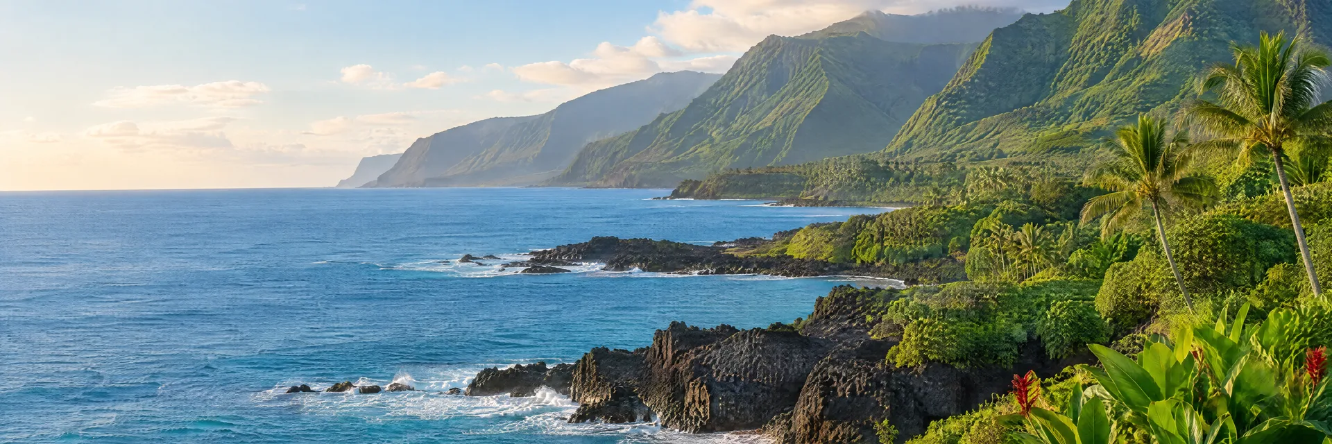 Illustration of representative natural scenery in Hawaii: lush tropical coastal valley, dark volcanic rock shoreline and blue Pacific water, no RV or campground.