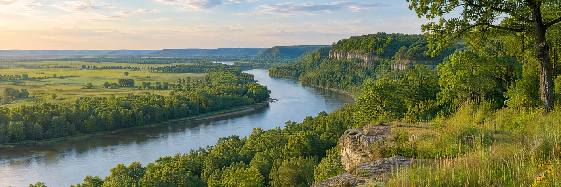 Illustration of representative natural scenery in Illinois: wooded river bluffs, oak forest and green prairie meadow.