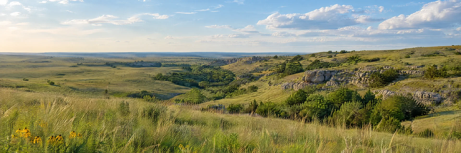 Illustration of representative natural scenery in Kansas: tallgrass prairie, softly rolling limestone hills and broad blue sky.
