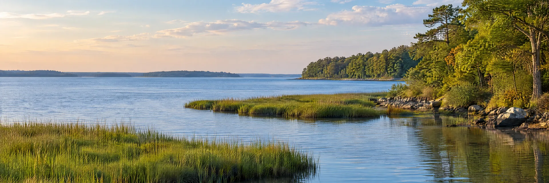 Illustration of representative natural scenery in Maryland: chesapeake tidal marsh, hardwood shoreline and calm broad blue water.
