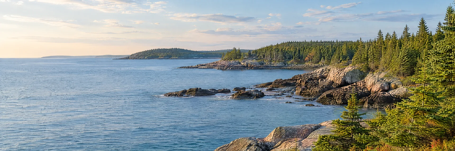 Illustration of representative natural scenery in Maine: rocky Atlantic shoreline, spruce forest and cool blue inlet.