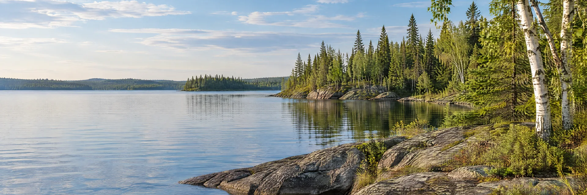 Illustration of representative natural scenery in Minnesota: northern freshwater lake, granite shore, birch and boreal conifer forest.