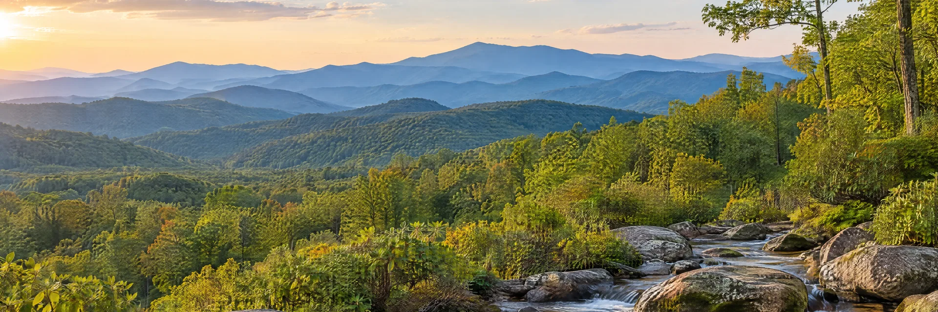 Illustration of representative natural scenery in North Carolina: blue Ridge layered mountains, hardwood woodland and a clear rocky stream.