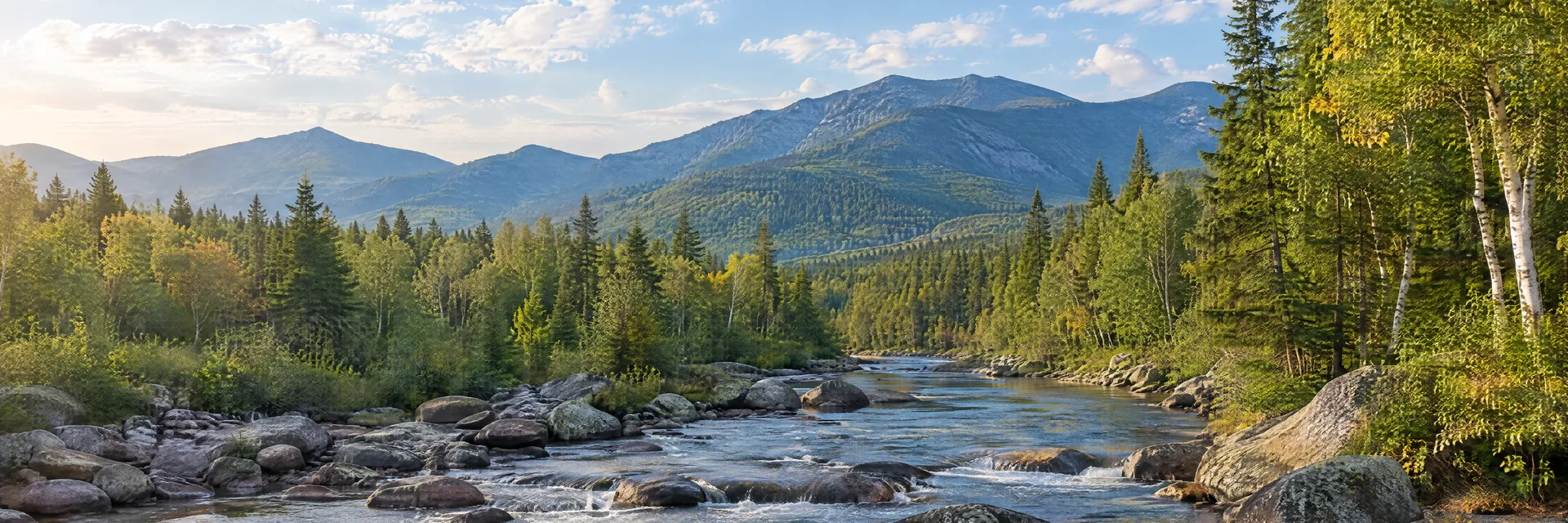 Illustration of representative natural scenery in New Hampshire: white Mountain wooded valley, clear rocky stream and mixed birch-conifer forest.