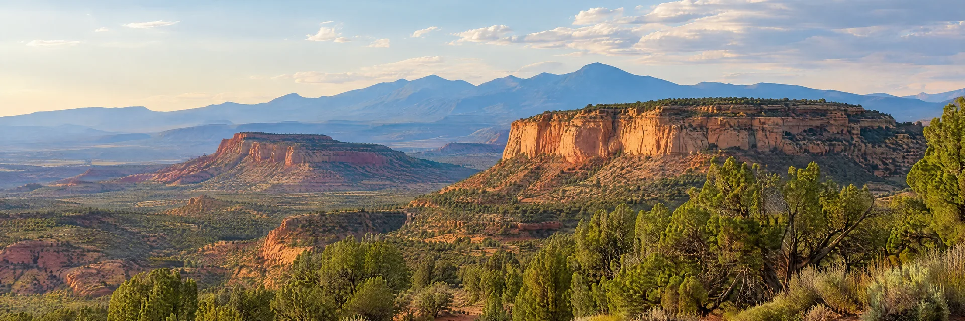 Illustration of representative natural scenery in New Mexico: high desert mesas, juniper woodland, sandy red-earth terrain and distant mountains.