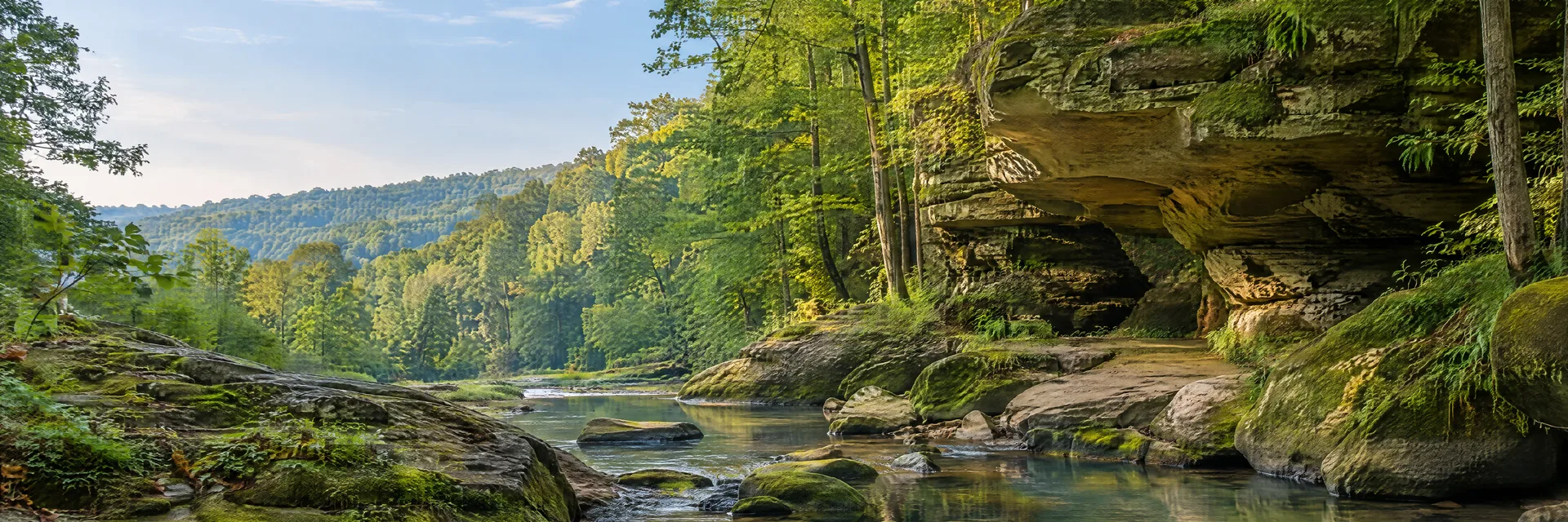 Illustration of representative natural scenery in Ohio: hardwood woodland, mossy sandstone ravine and quiet creek.