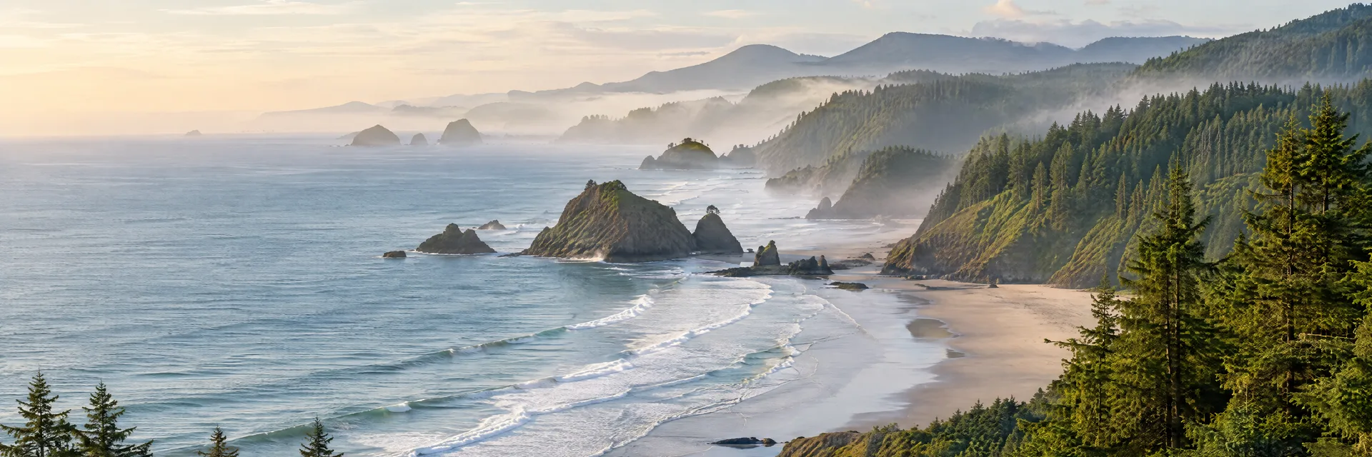 Illustration of representative natural scenery in Oregon: pacific coastal headlands, evergreen woods, sandy beach and gentle mist.