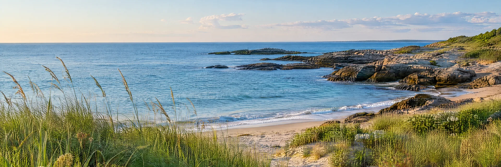 Illustration of representative natural scenery in Rhode Island: atlantic coastal grasses, sandy beach, low rocky shoreline and blue water.