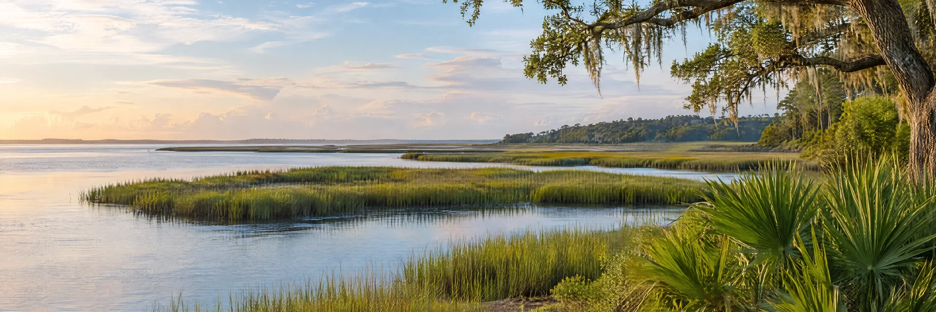 Illustration of representative natural scenery in South Carolina: lowcountry tidal marsh, palmettos, live oaks and calm coastal water.